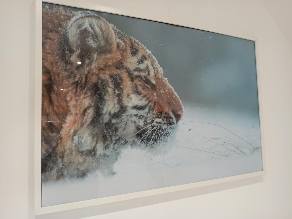 A 4 min du Zoo de Beauval La Maison à Partager Ch4 2ème étage Saint-Aignan  Exterior foto